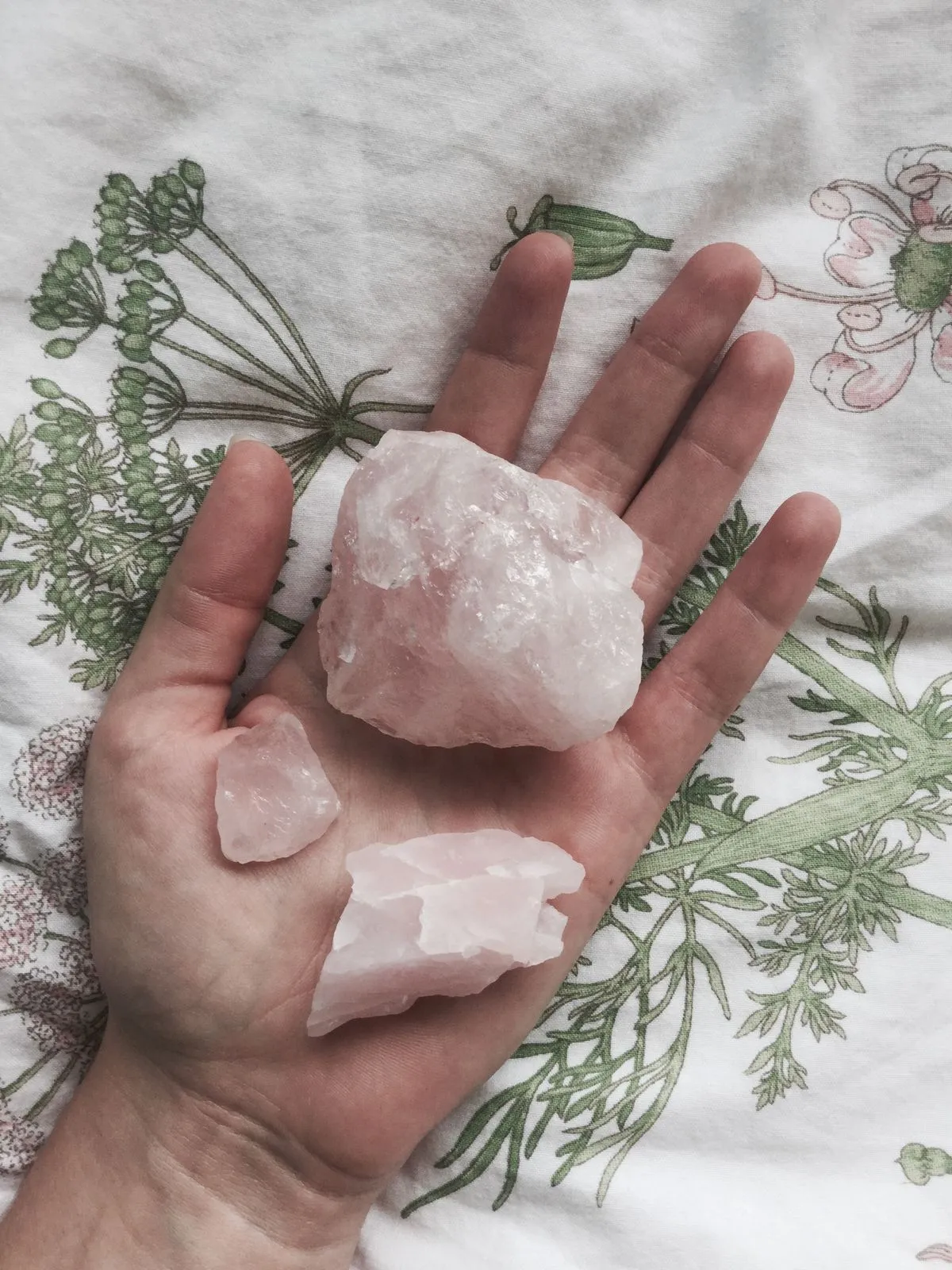 Person holding rose quartz pendant necklace, demonstrating daily wearable crystal practice