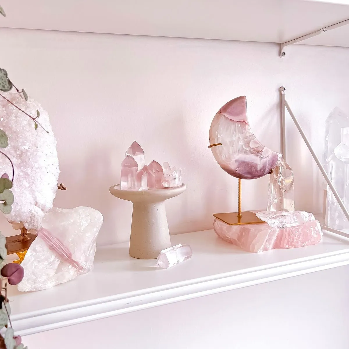 A collection of raw and polished rose quartz stones arranged in a circle on a soft cloth, representing community and shared compassion.